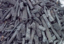 Đặt than củi vào lò vi sóng, điều kỳ diệu xảy ra sau vài ngày khiến bạn cực bất ngờ