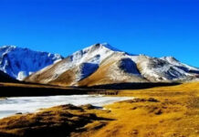 Thành phố nghìn năm không trồng nổi 1 cây xanh: Thưởng 1 tỷ cho ai “giải cứu” thành công