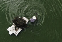 Đặc sản “trứng bay” độc nhất vô nhị của Mexico: Thu hoạch kỳ công và nỗi lo bị biến mất theo thời gian