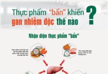 Thực phẩm bẩn gây nhiễm độc, phá nát lá gan thế nào?