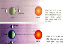 Hiện tượng thủy triều là gì?