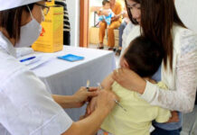 Cảnh giác bệnh viêm não Nhật Bản bùng phát