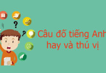 25 Câu đố tiếng Anh hay và thú vị giúp trẻ vừa học vừa rèn luyện tư duy