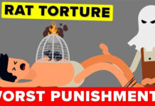 Rat Tortur – tra tấn bằng chuột: Hình thức tra tấn bắt nguồn từ thời La Mã cổ đại