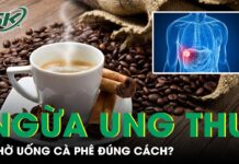 Trà và cà phê giúp ngăn ngừa ung thư não