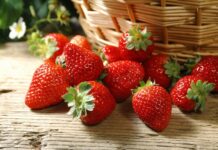 “Không thể tin nổi” 13 sự thật lạ kỳ về Trái đất