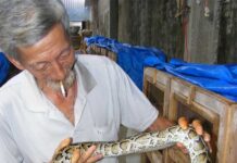 Người Việt đang ăn một loại thịt mà các nhà khoa học nghĩ cả thế giới nên học hỏi