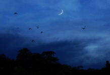 Cách xác định phương hướng bằng mặt Trăng