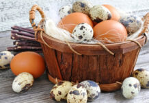 So sánh hàm lượng dinh dưỡng của trứng gà, trứng vịt, trứng cút… loại nào bổ dưỡng nhất?