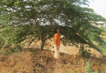 Ăn quả trứng cá có lợi hay có hại?