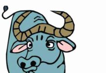 Ngưu là con bò tót