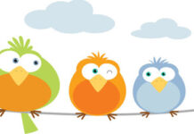 Dơi, chim và họ nhà thú