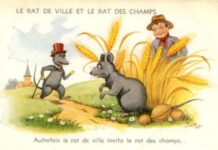 Chuột nhà và chuột đồng