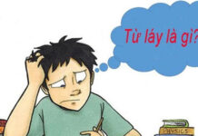 Từ láy là gì? Từ ghép là gì? Phân biệt từ láy với từ ghép