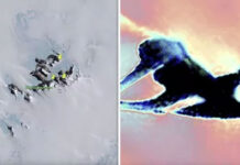 Sông băng tan chảy để lộ vật thể bí ẩn