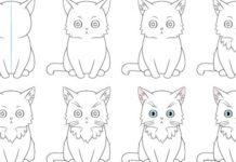 Cách vẽ mèo anime chi tiết từng bước