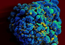 Người thứ 7 trên thế giới được chữa khỏi HIV