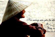 8 điều mẹ đã nói dối con