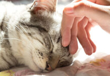 Giải mã bí ẩn làm khoa học đau đầu suốt 2.000 năm: Vì sao cọ xát tạo ra điện?