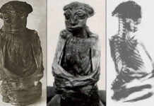 Bí ẩn xác ướp tí hon giống “yêu tinh” khiến giới khoa học tranh cãi nảy lửa