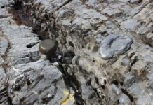 Đằng sau “chiếc đinh vàng” hé lộ thời kỳ Trái đất thành quả cầu tuyết