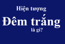 Hiện tượng Đêm trắng là gì? Nguyên nhân gây ra hiện tượng đêm trắng thú vị