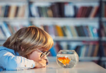 Nghiên cứu mới cho thấy loài cá thông minh hơn chúng ta tưởng