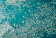 27 triệu tấn hạt nhựa nano được phát hiện ở Bắc Đại Tây Dương