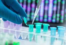 DNA xác nhận nạn nhân trong thảm họa hàng loạt như thế nào?