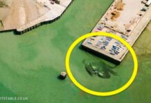 Những hình ảnh lạ lùng tìm thấy trên Google Maps khiến bạn hoang mang