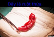 Những điều thú vị trong cuộc sống có thể bạn chưa biết