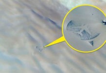 Những địa điểm cực dị và bí ẩn được thế giới biết đến nhờ Google maps