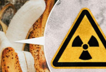 Những kiến thức thú vị mà bạn chẳng bao giờ ngờ tới