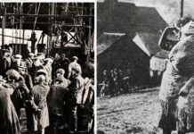 Xe năng lượng mặt trời chạy gần 1.000km không cần sạc