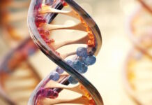 Xe điện hai bánh tự cân bằng như ván trượt