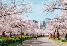 Những Triết Lý Sống Của Người Nhật Giúp Bạn Hạnh Phúc Hơn Mỗi Ngày Khi Già đi