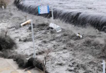 Sai Lầm Cần Tránh Khi Gặp Phải Sóng Thần