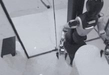 Lao công, người giúp việc tại Trung Quốc mất việc vì robot?