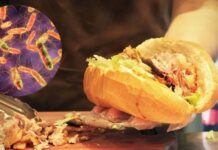 Hiểm họa mang tên Salmonella: Vi khuẩn ẩn mình trong bữa ăn hàng ngày có thể gây tử vong