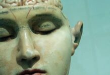 Bốn lần não bộ tự “khởi động lại” trong đời: Bạn đang ở giai đoạn nào?