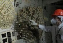 Bí ẩn về loài nấm đen mới được phát hiện, có thể ‘ăn’ bức xạ ở Chernobyl