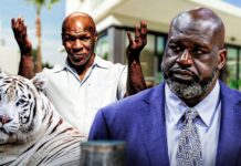 Nếu bạn có cú đấm của Mike Tyson, vóc dáng của Shaquille O’Neal và tốc độ của Usain Bolt, bạn có thể đánh bại một con hổ không?