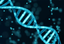 Các nhà khoa học lần đầu công bố bản đồ 4D chi tiết nhất của bộ gene người