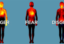 Bản đồ cảm xúc của cơ thể: Mối liên hệ giữa cảm xúc, trạng thái sinh lý và hành vi