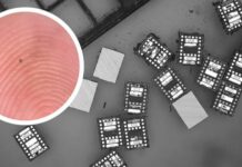 Các nhà khoa học vừa chế tạo thành công những robot vi mô, chỉ nhỏ bằng một sinh vật đơn bào và ‘hoạt động vĩnh cửu’ nhờ ánh sáng