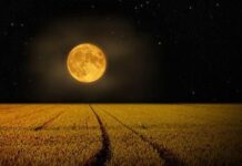 Những sự thật về Full Moon – Trăng tròn có thể bạn chưa biết