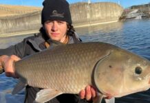 Sống hơn một thế kỷ, không lão hóa và nghịch lý sinh tồn của loài cá cổ đại Bắc Mỹ đang bị lãng quên