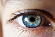 Ánh mắt tiết lộ liệu bạn có thực sự đang lắng nghe hay không