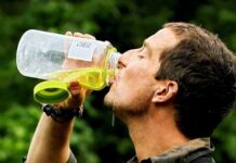 Uống nước tiểu để sinh tồn: Mẹo cứu mạng hay ảo tưởng nguy hiểm được thổi phồng trên truyền hình