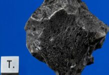 Không cần phá hủy mẫu vật, giới khoa học tìm thấy “mạch máu” của sự sống trong khối đá cổ nhất Hệ Mặt Trời